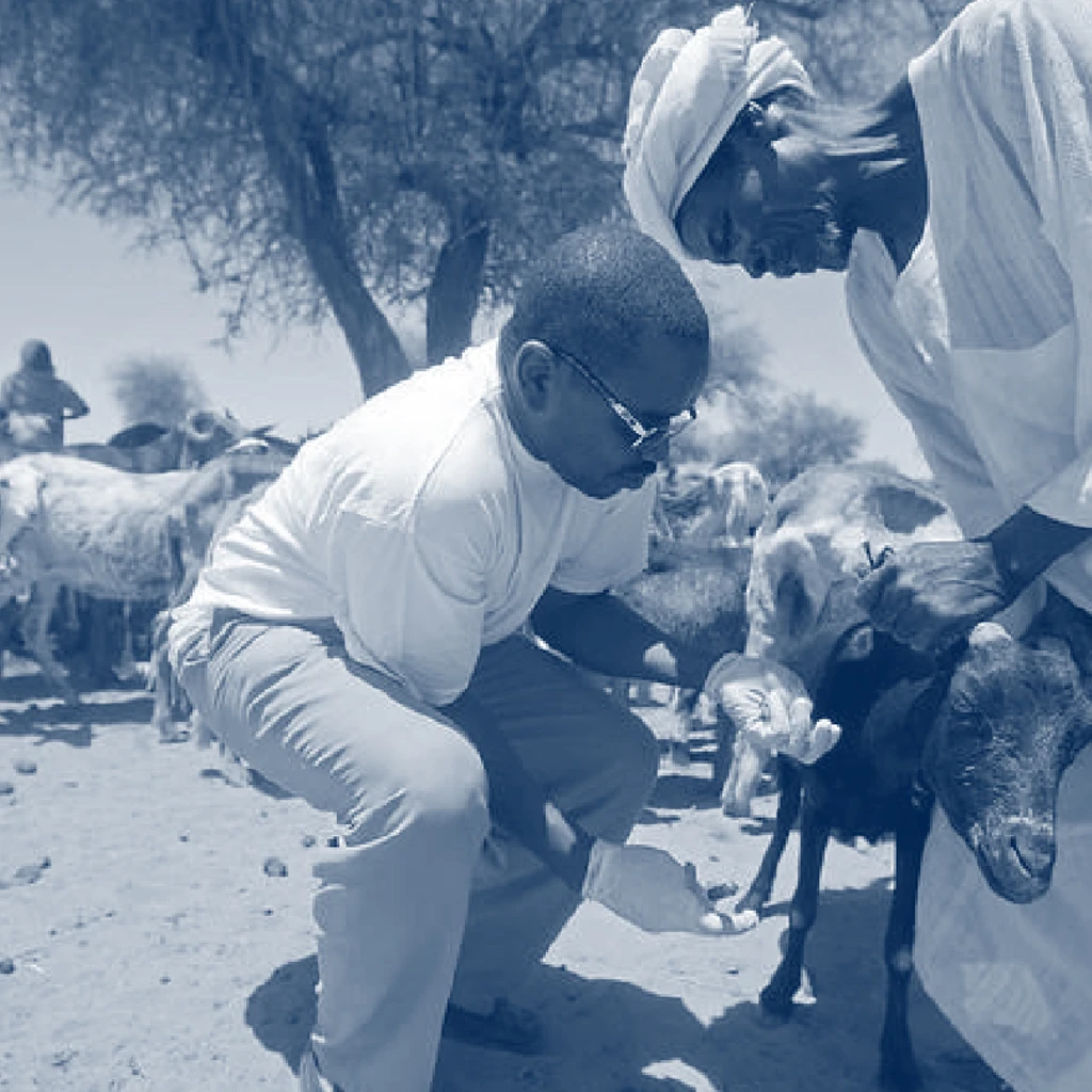 goat being held by person receiving medical care in Sudan