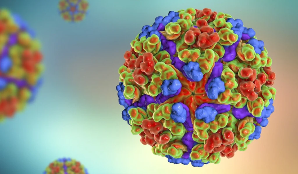 A close up image of the Chikungunya Virus