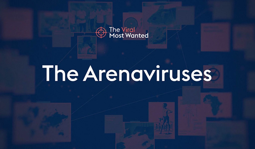 Arenavirus header image blg size