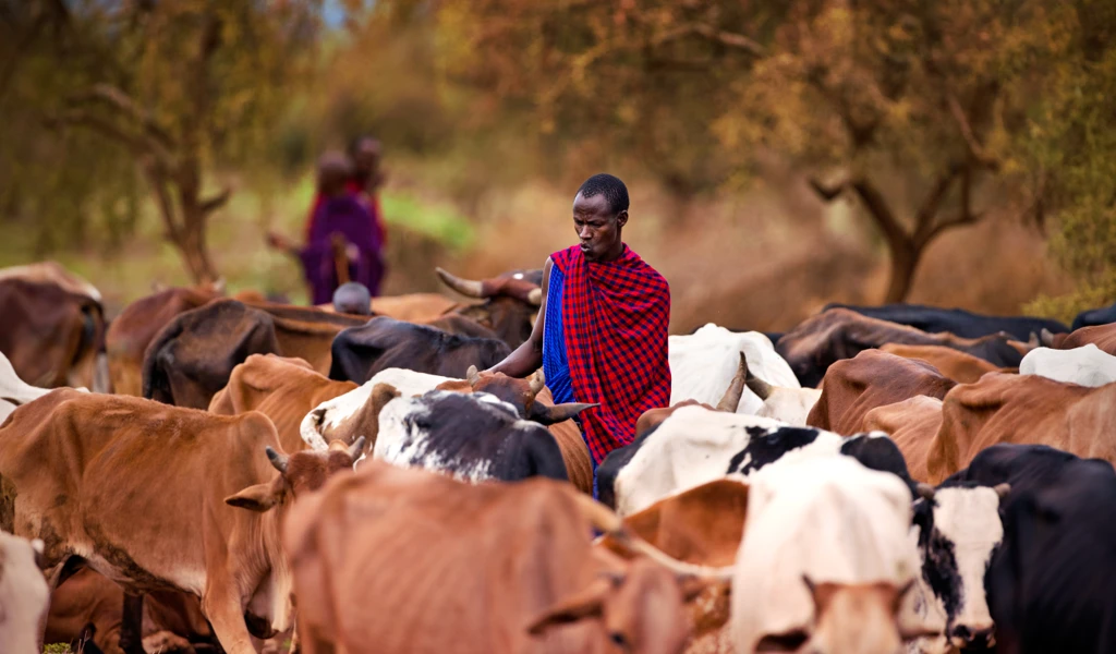CEPI expands partnership with Wageningen Bioveterinary Research to ...