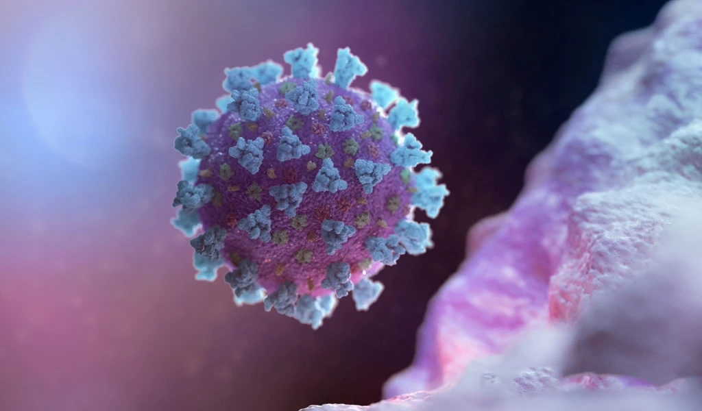 Virus, Credit: Shutterstock
