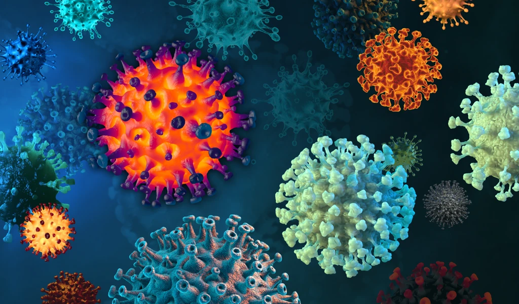 Viruses, Credit: Shutterstock