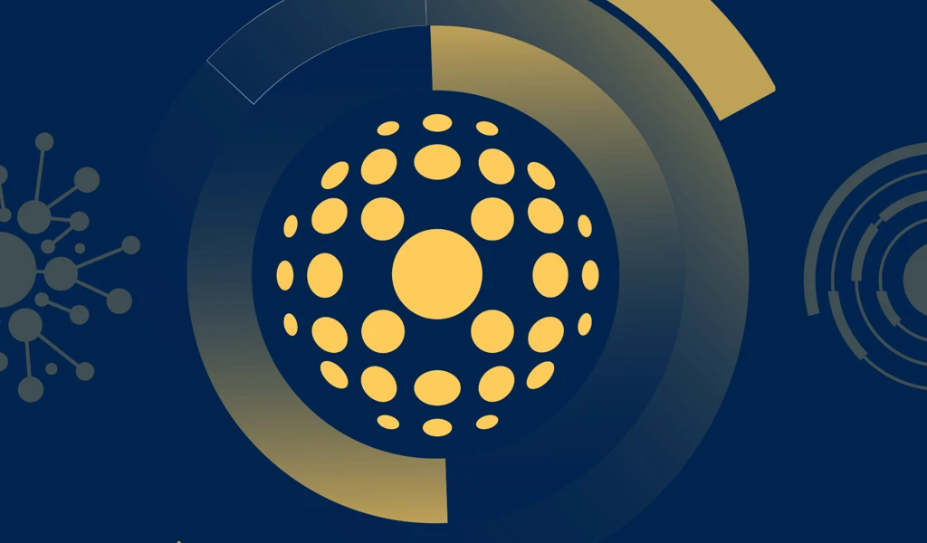 Networks visualisation