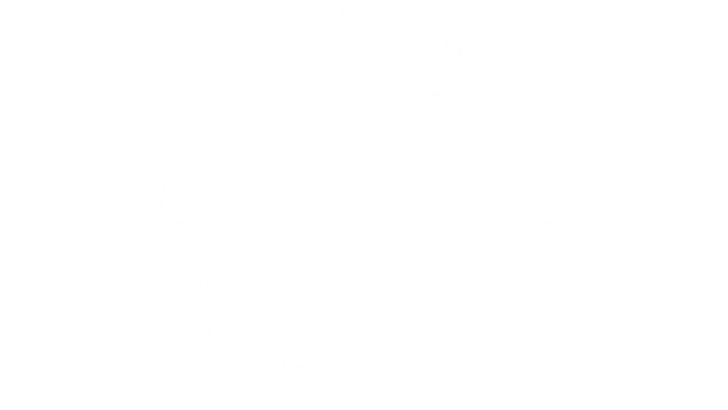 Coalition icon