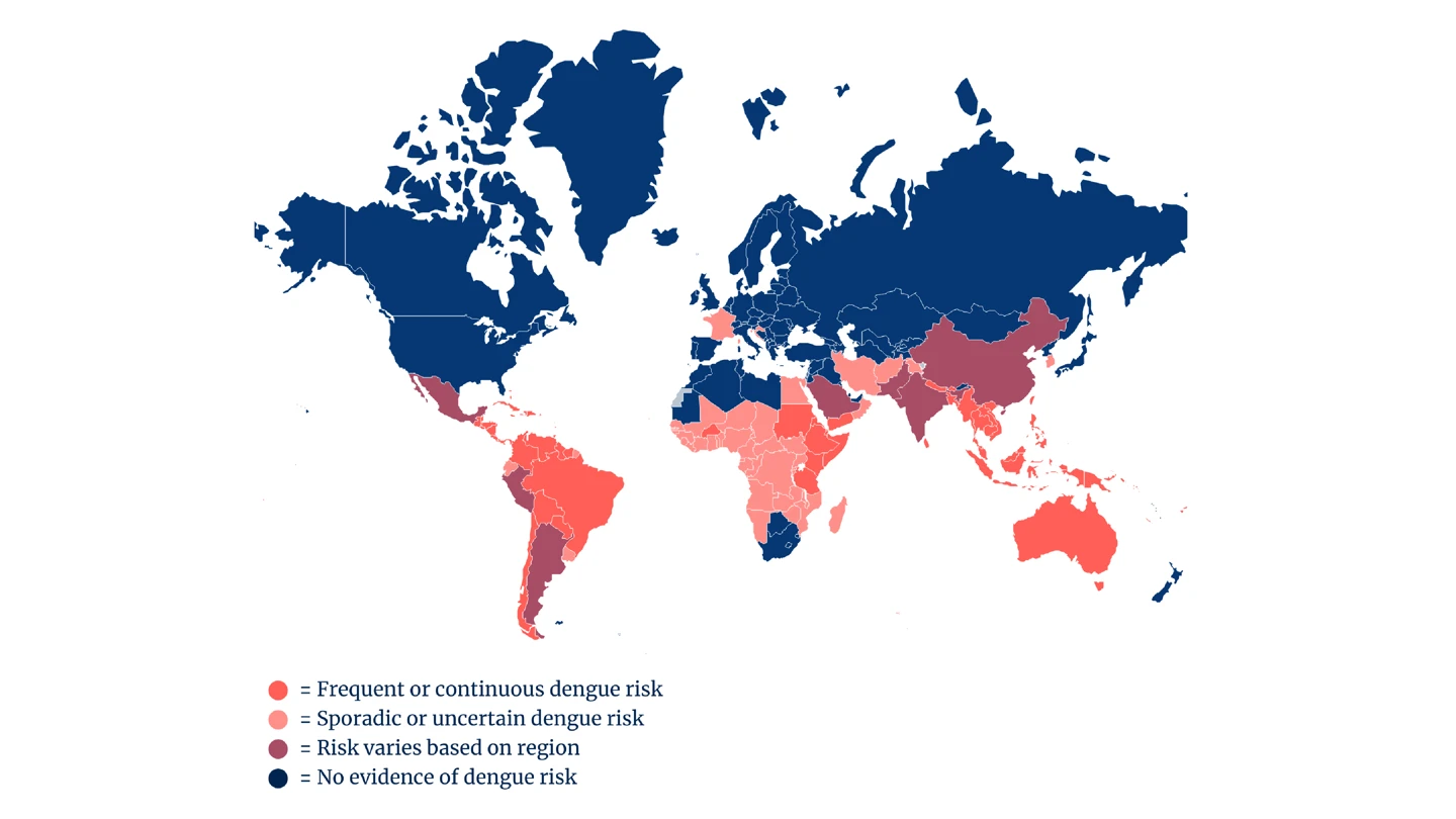 world map showing Dengue outbreak