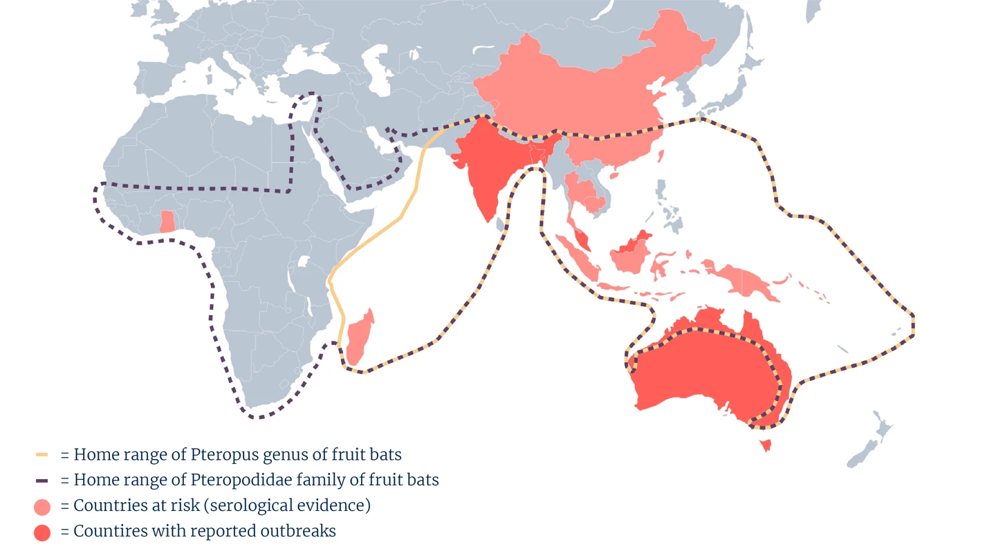 part of world map showing territory of certain fruit bats