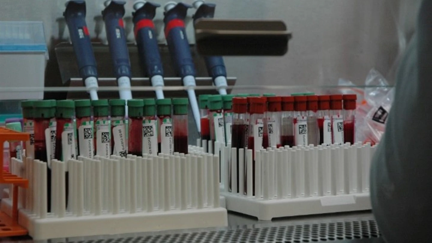 Blood samples from the Washington COVID-19 Biorepository being prepared for analysis at the PATH laboratory. Photo: PATH