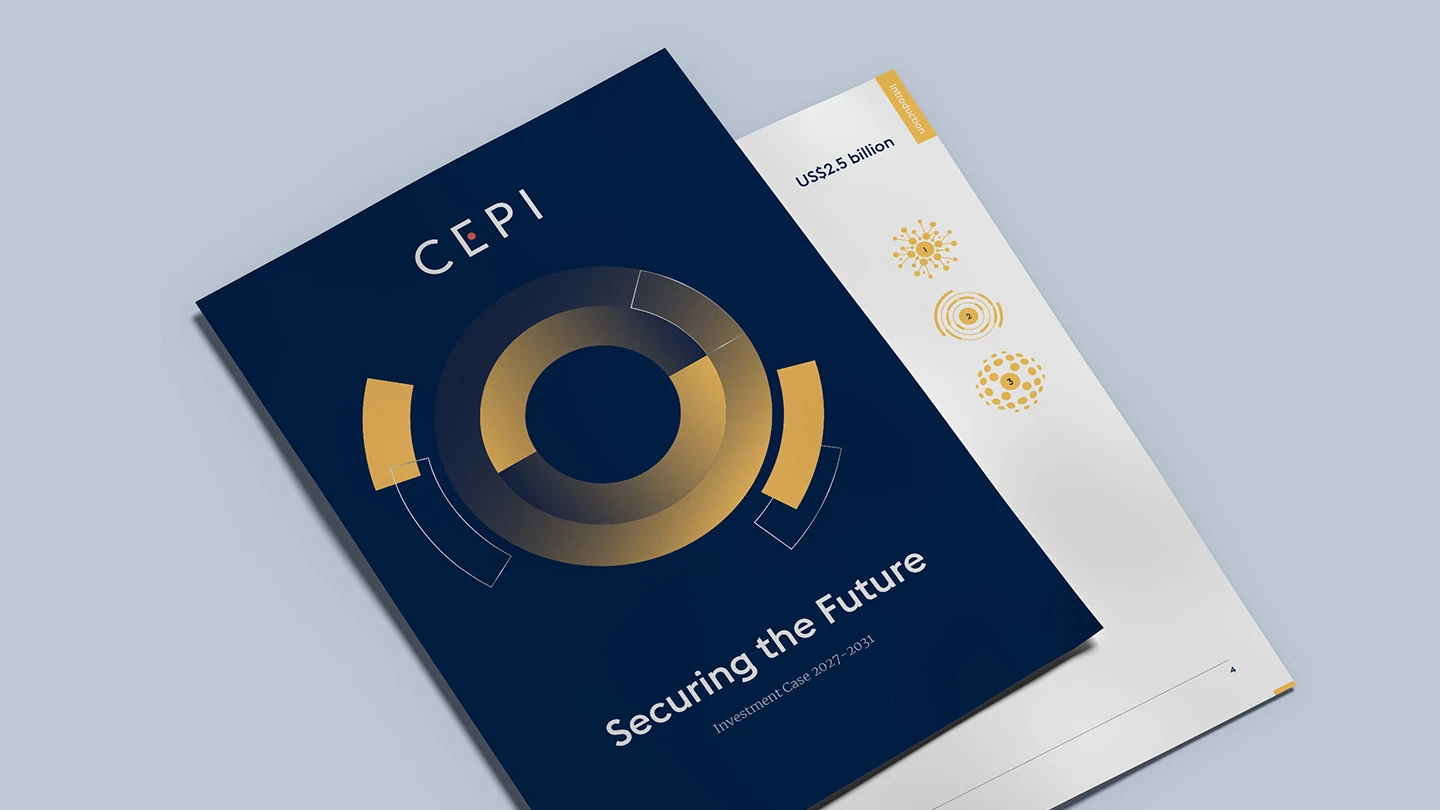 Investment Case report mock-up