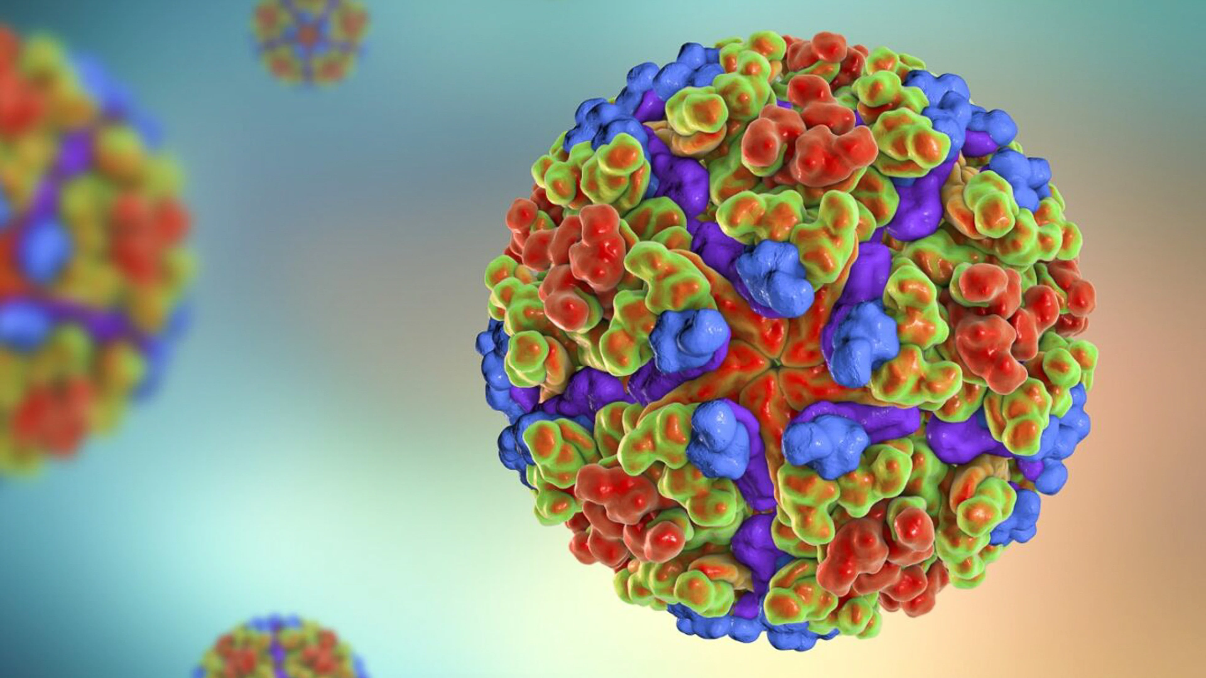 A close up image of the Chikungunya Virus