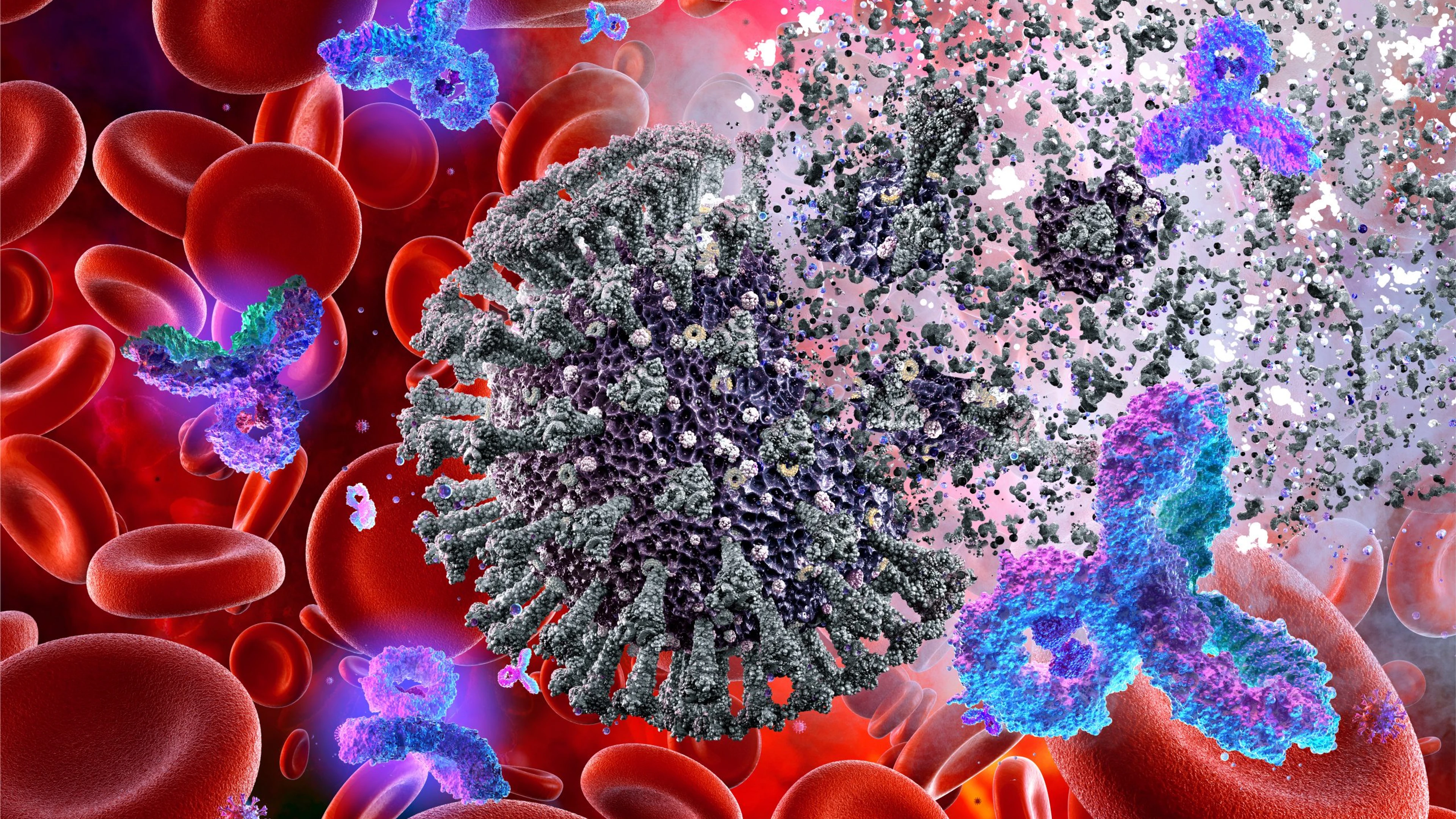 Virus,,Red,Blood,Cells,And,Antibodies,Attacking,Coronavirus,Covid-19.,Corona