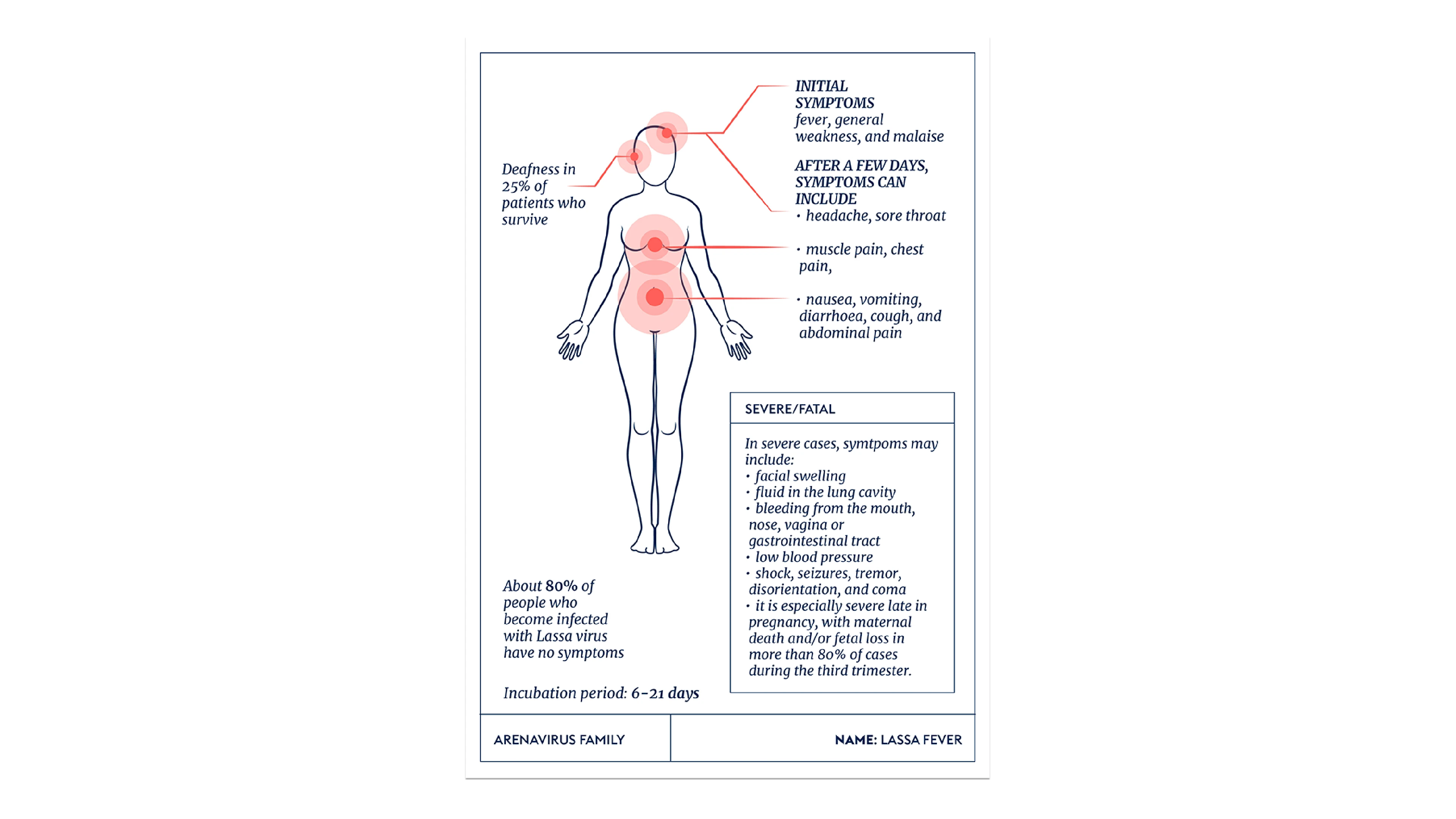 illustration showing symptoms of Lassa fever