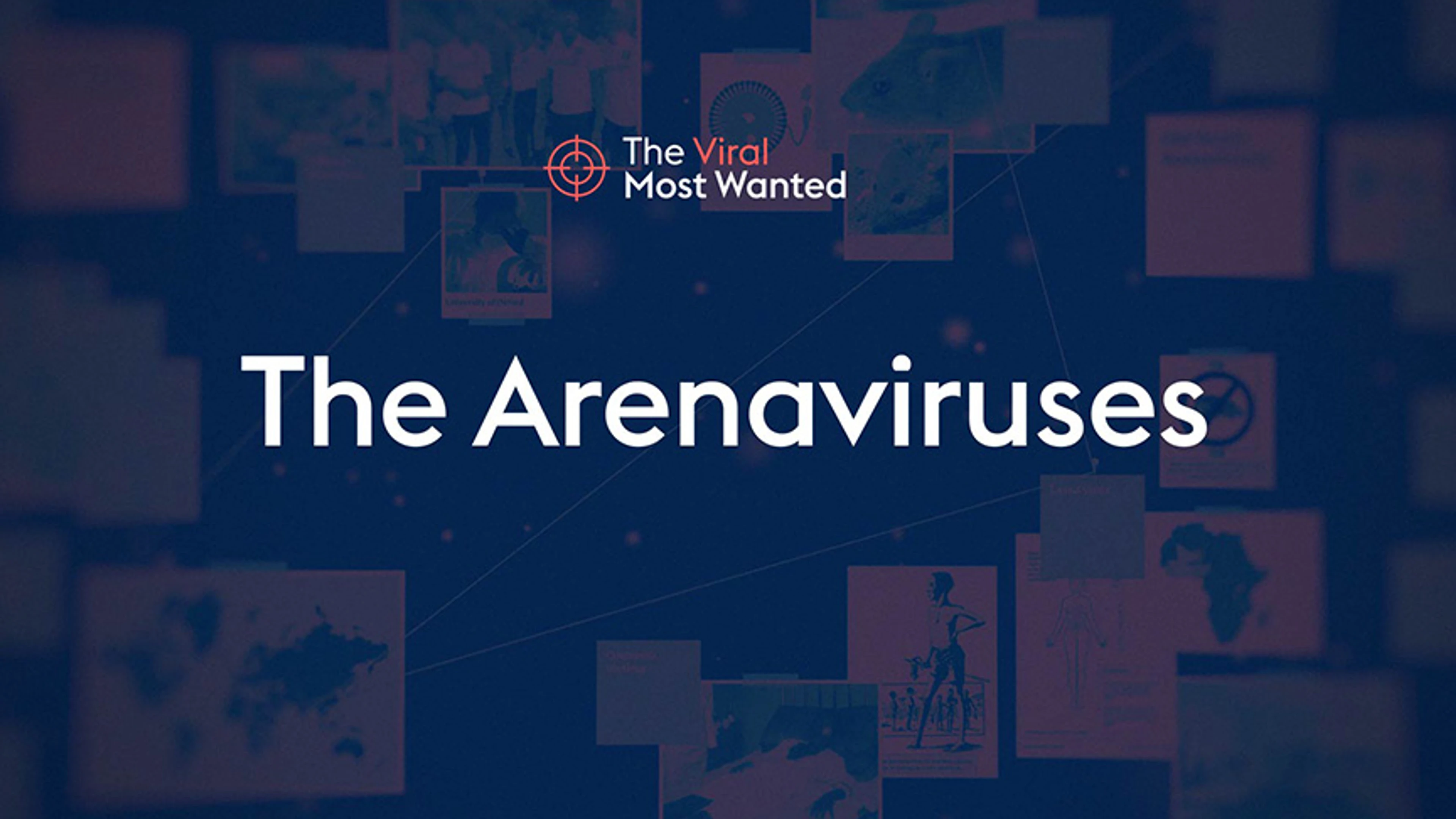 Arenavirus header image blg size