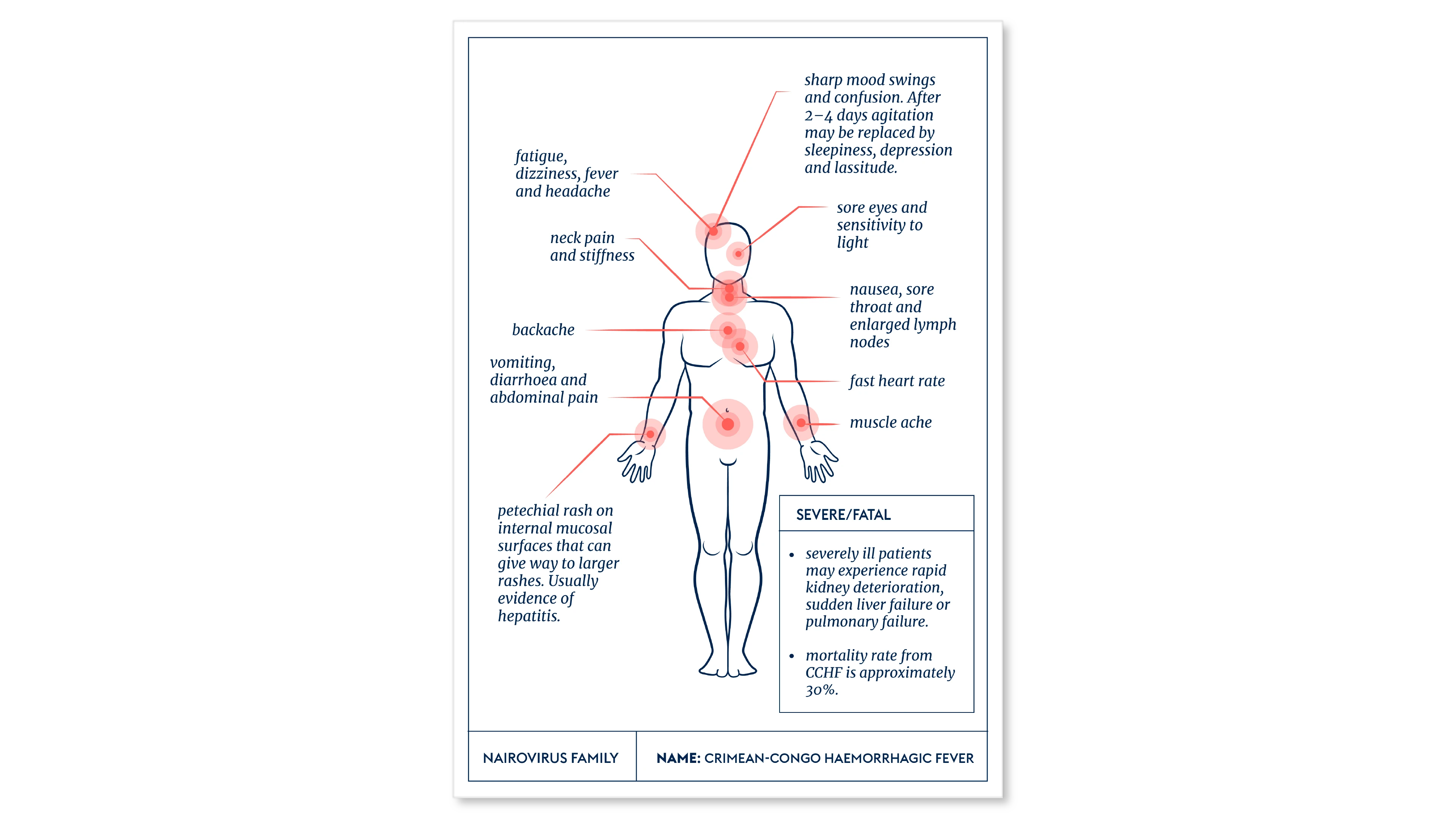 illustration showing symptoms of CCHF