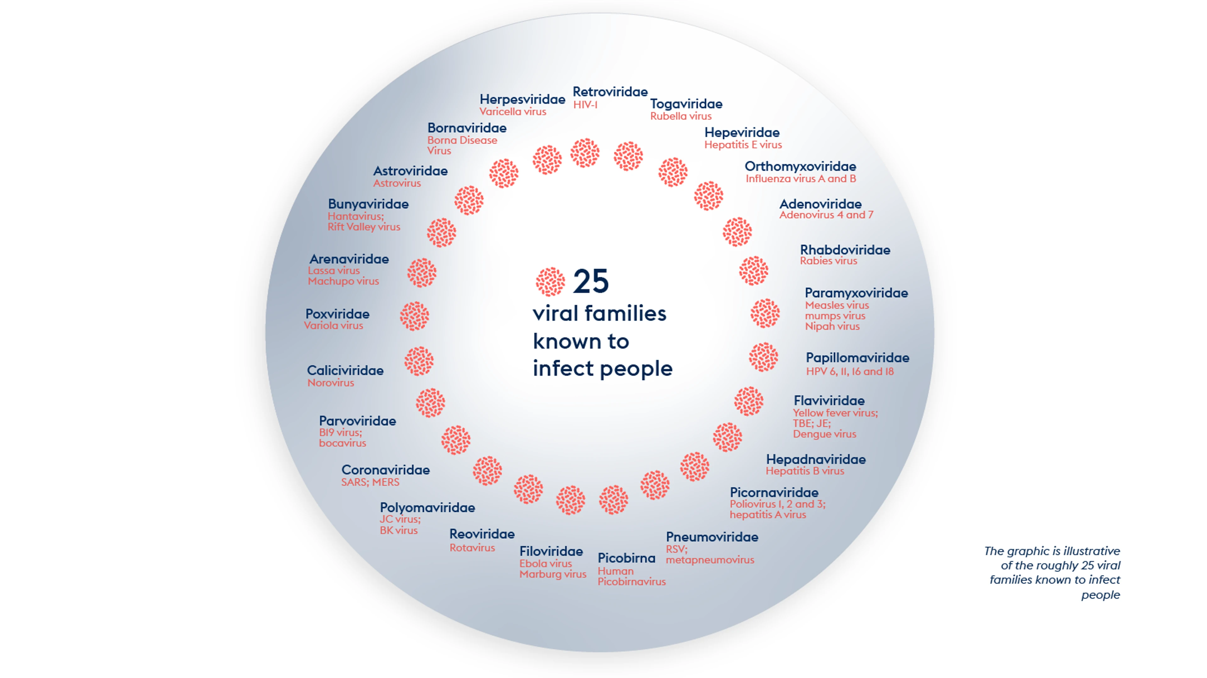 Viral Families Graphic 1600 x 900 final (1)