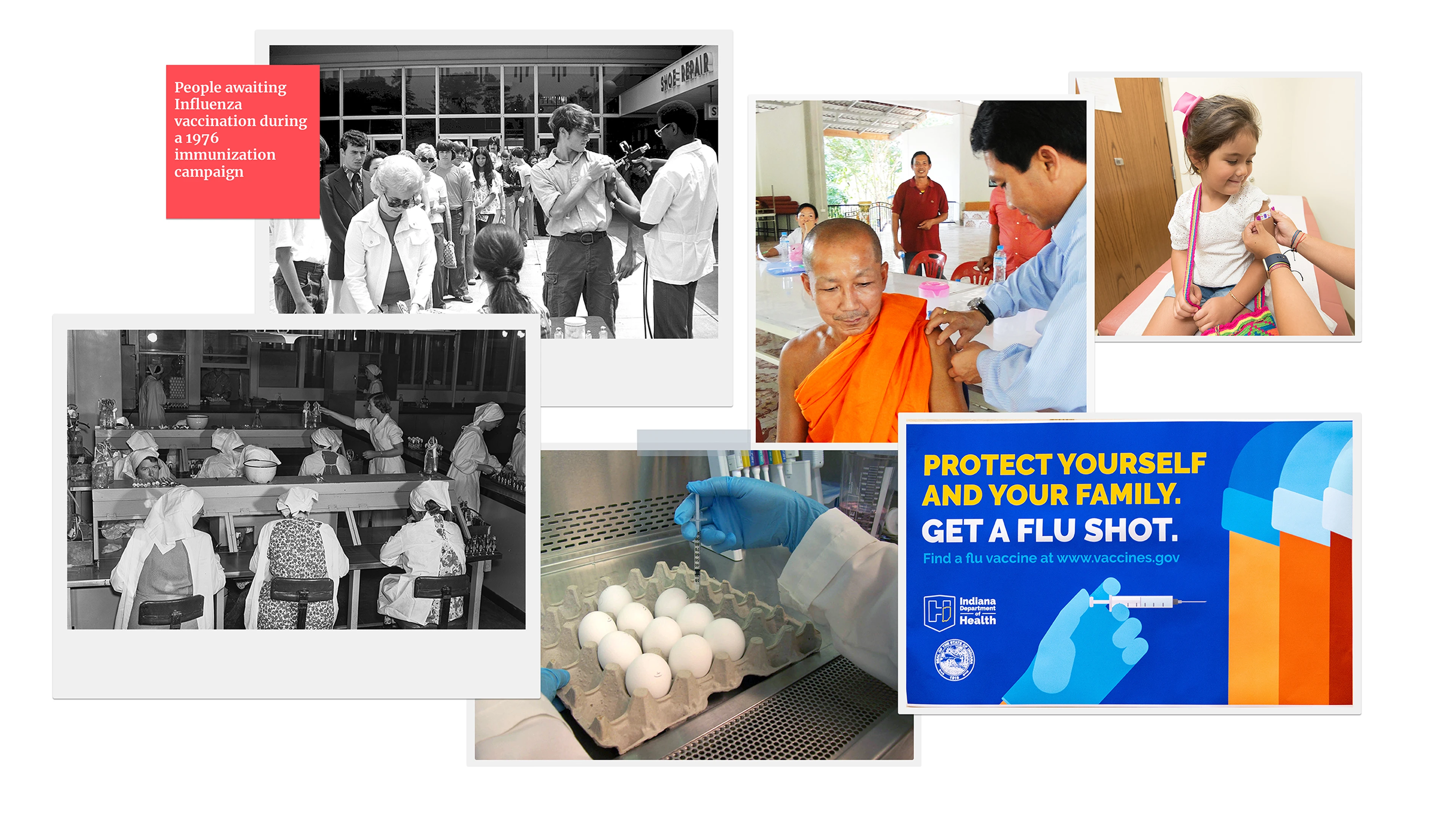 composition of different photos related to flu vaccines