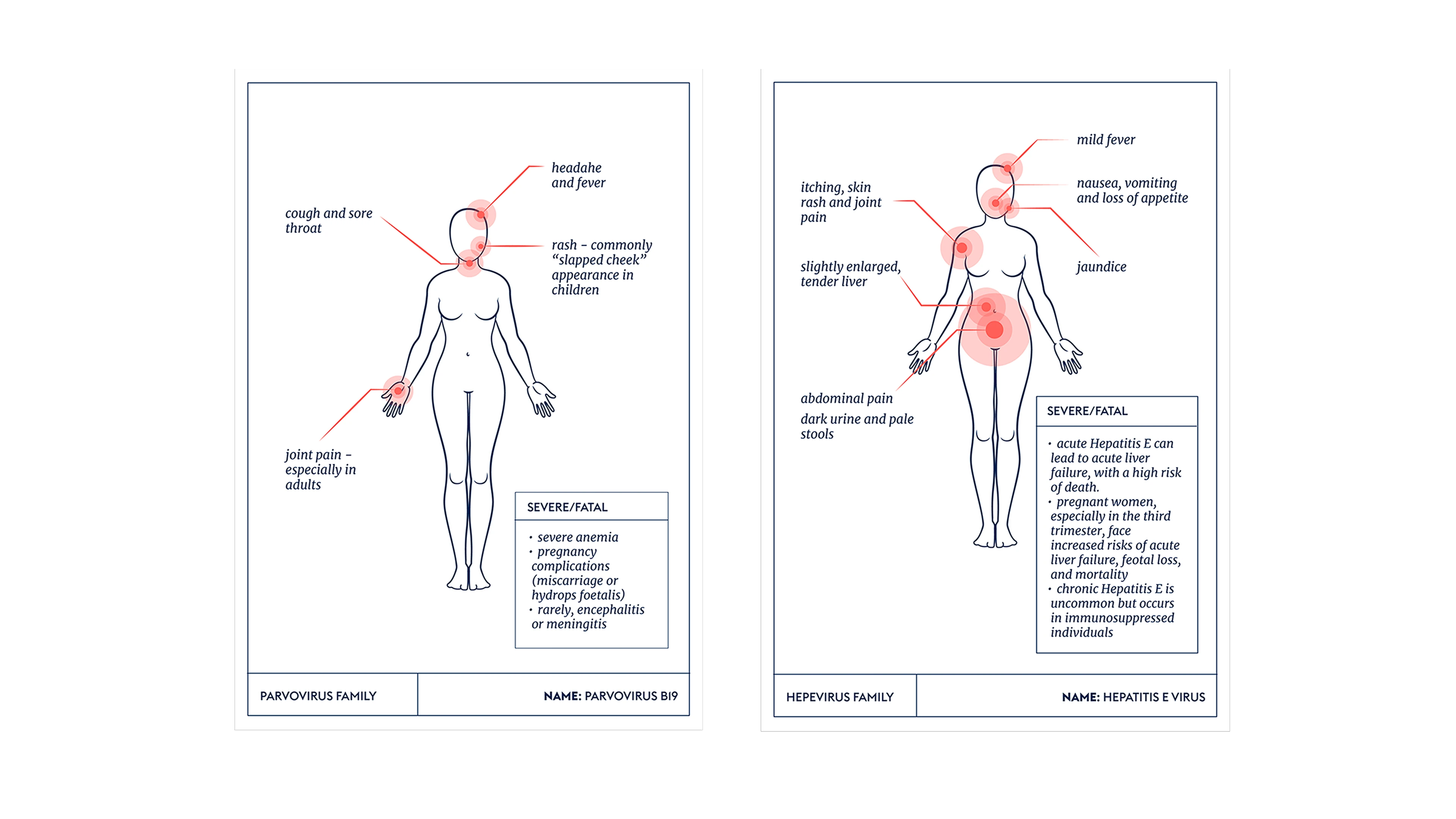 medical style illustrations showing virus symptoms